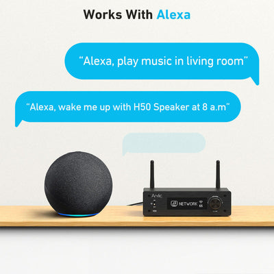 Arylic H50 wireless streaming amplifier